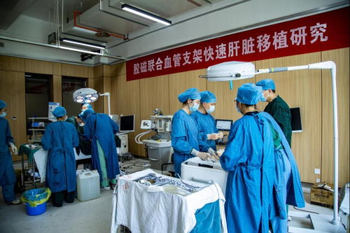 医学创新加速 med x研究院再生与重建医学研究所正式建成投用