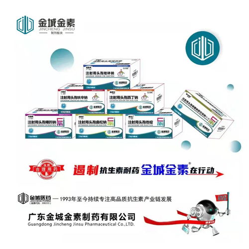 王桂英副省长调研金城医药 聚焦合成生物学创新与食品药品安全双防线