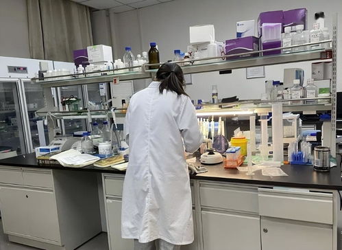 实验室悲歌 中国医科大研究生猝死事件引发的医学研究与安全问题反思